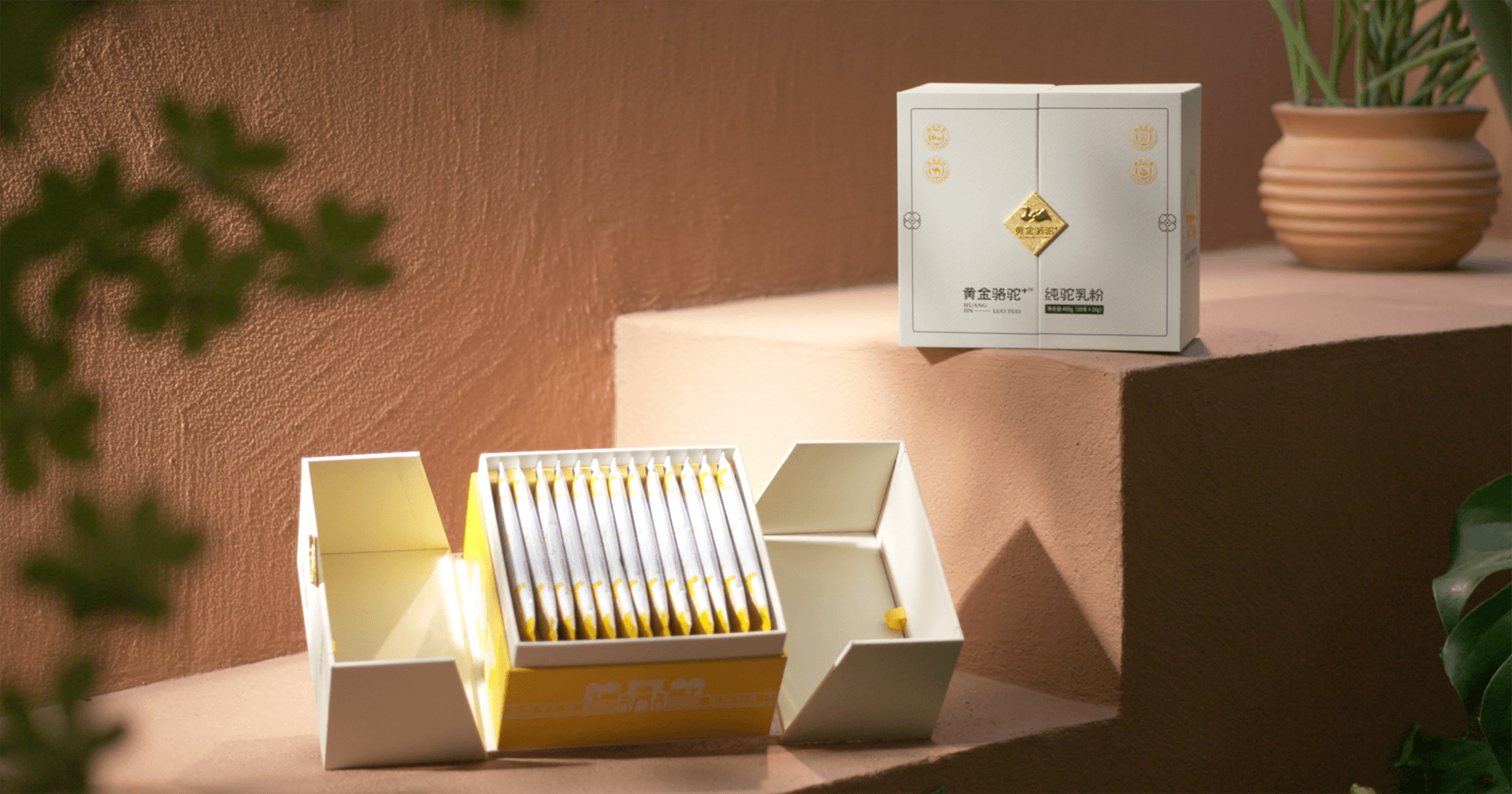 定位小众高端乳粉，太阳成集团tyc151cc推出驼奶品牌“黄金骆驼+”，角逐乳品新市场！