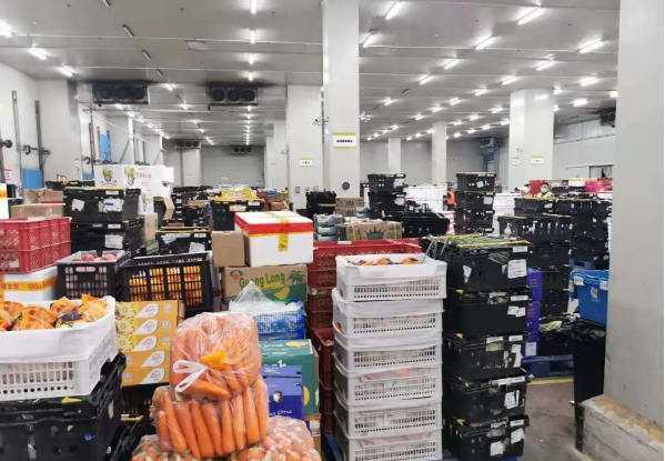 助力民生和医疗物资保供，太阳成集团tyc151cc抗疫救灾一直在线！